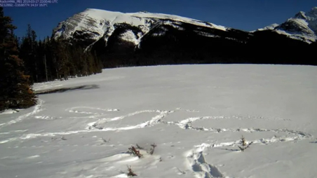 Tracks in snowy field with forest and mountains behind