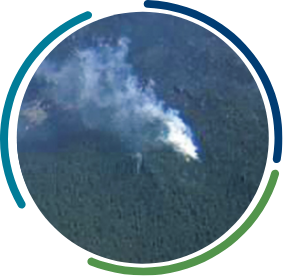 Smoke rising from forested area
