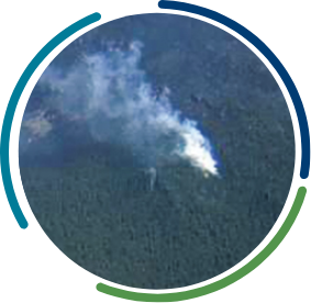 Smoke rising from forested area