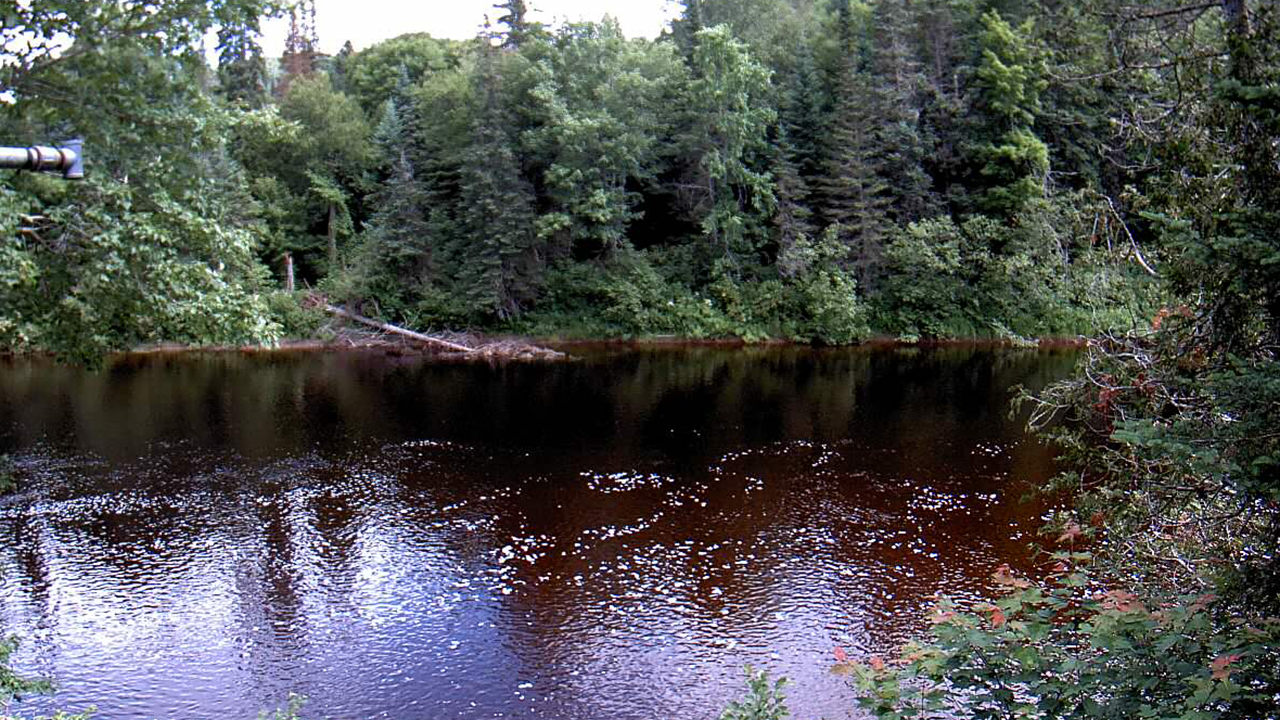 Monitoring water levels of river in remote forest