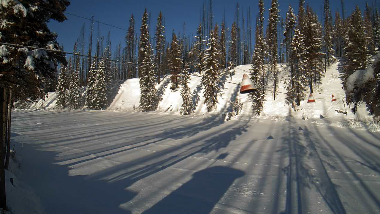Snowy conditions in remote forested area and safety markers on wires spanning the clearing