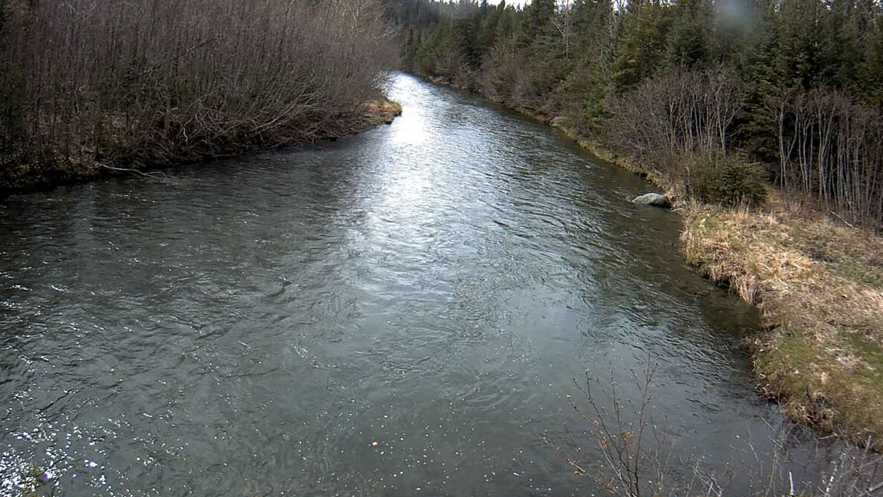 Monitoring water levels of river in remote forest