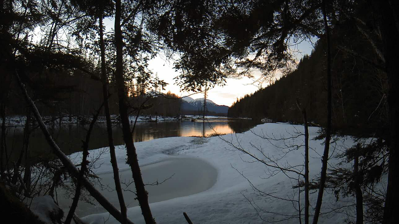 View of a river through trees in winter